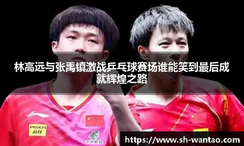 林高远与张禹镇激战乒乓球赛场谁能笑到最后成就辉煌之路